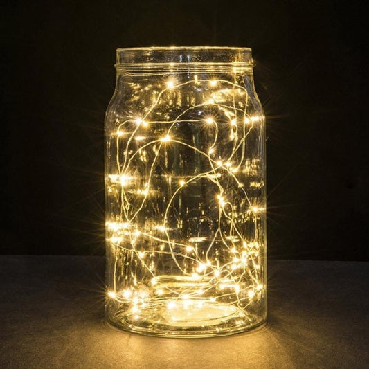 1M String Fairy Light Copper 10 LED Battery