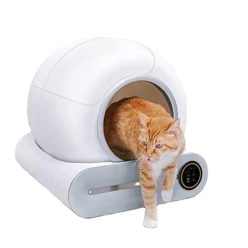 PurrNest Aura image 5