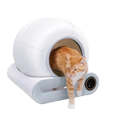 PurrNest Aura image 5