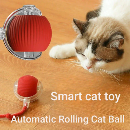 AuraRoll Pro image 4