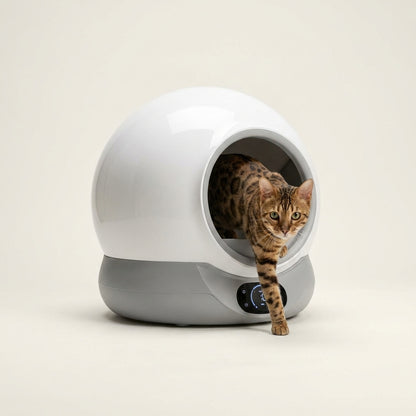 PurrNest Halo