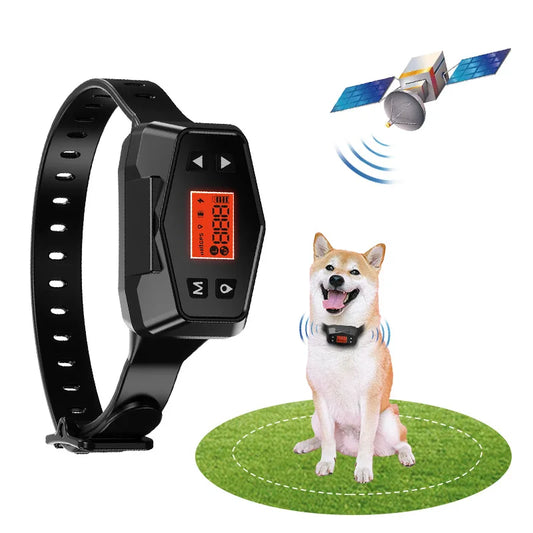 PetSafe Wireless Collar