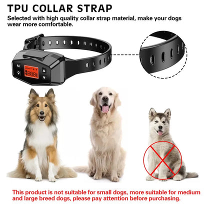 PetSafe Wireless Collar