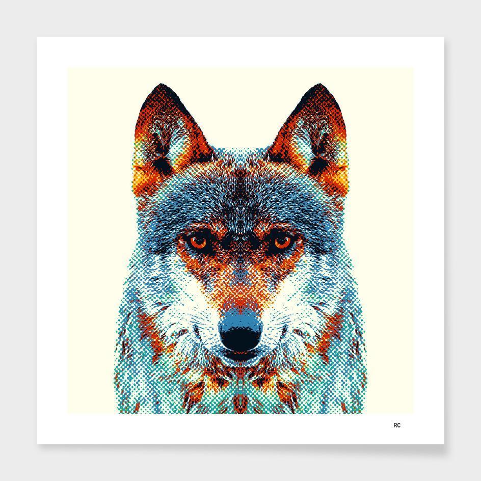 Wolf - Colorful Animals  Frame