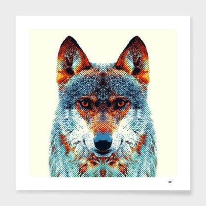 Wolf - Colorful Animals  Frame