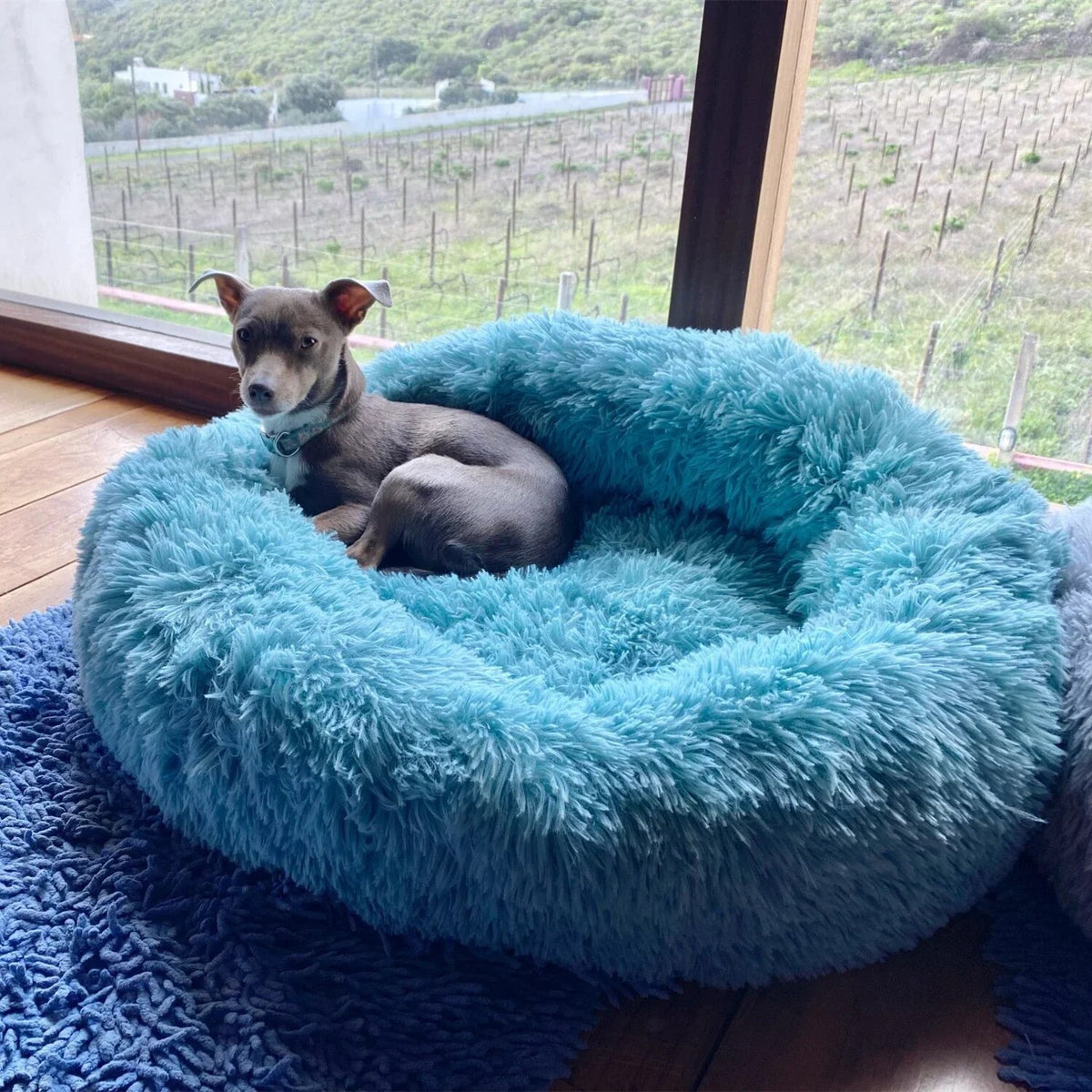 SnuggleNest Cozy Pet Haven