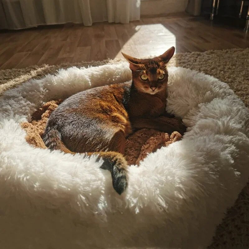 SnuggleNest Cozy Pet Haven