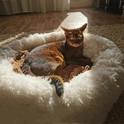 SnuggleNest Cozy Pet Haven